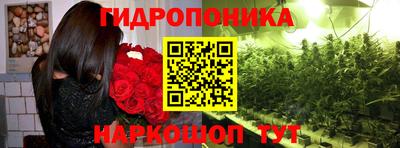 прущая мука Будённовск