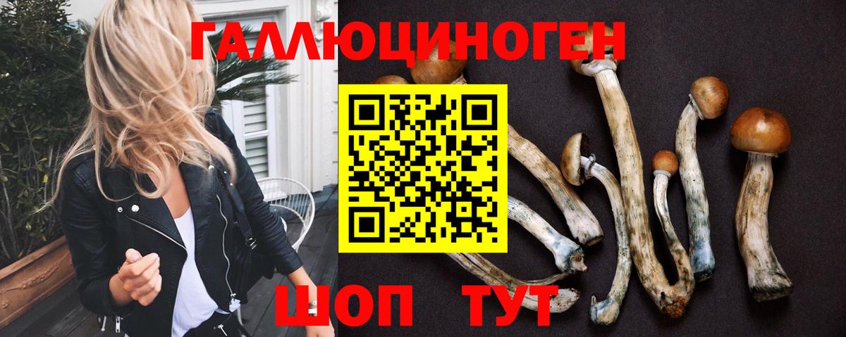 Псилоцибиновые грибы Psilocybe Ярцево